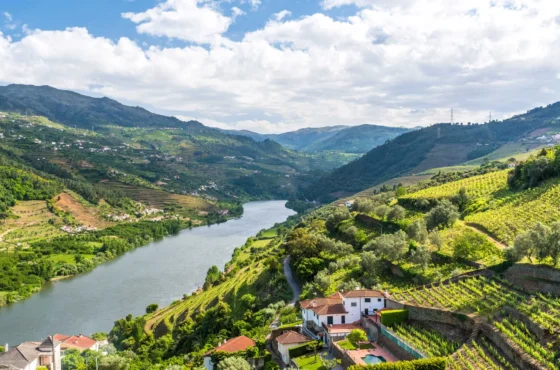 Portugal Dreams: Heritage, Wine & Ocean Breeze