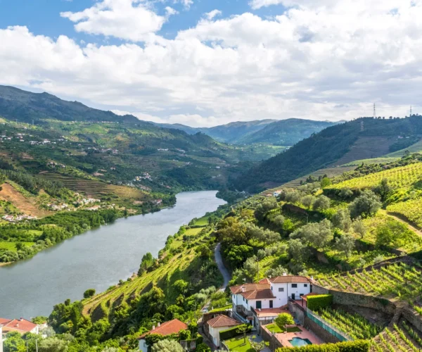 Portugal Dreams: Heritage, Wine & Ocean Breeze