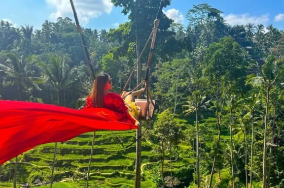Dive into Bali’s magic — where jungle serenity meets beachside bliss