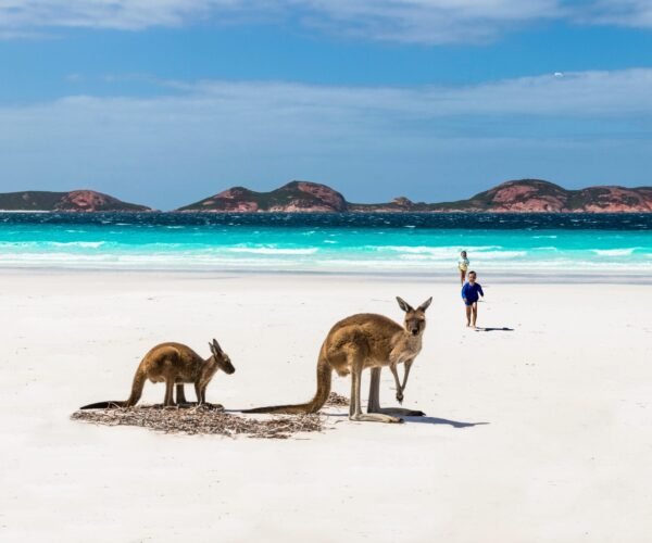 From Beaches to Mountains: Australia Tour